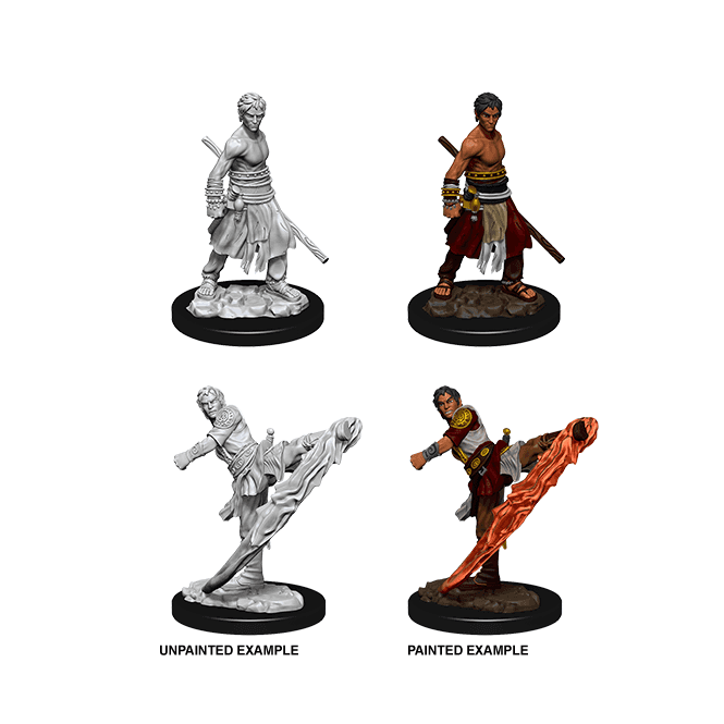 D&D Nolzur's Marvelous Miniatures Half Elf Monk (Male)