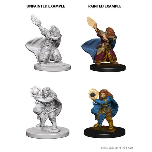 D&D Nolzur's Marvelous Miniatures Dwarf Wizard (Female)