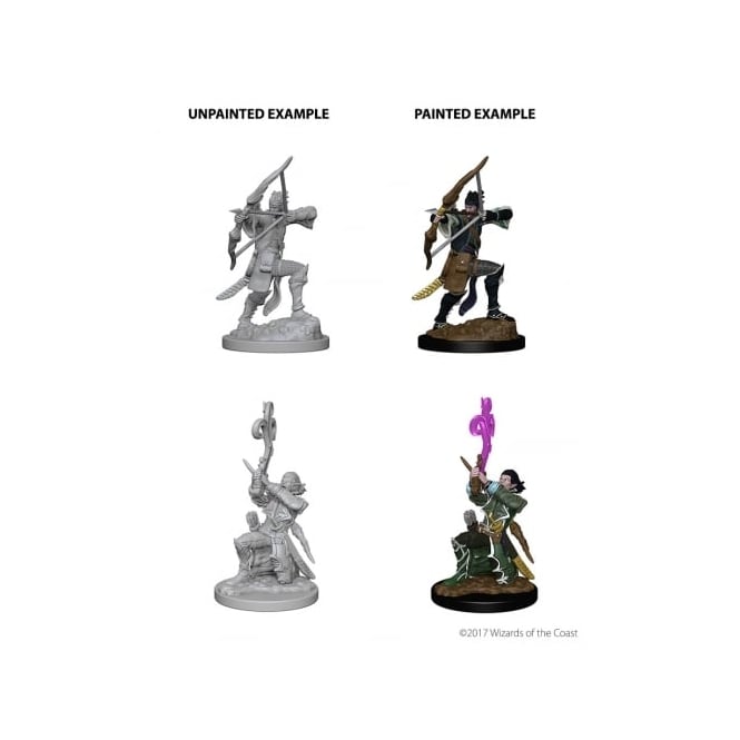 D&D Nolzur's Marvelous Miniatures Elf Bard (Male)