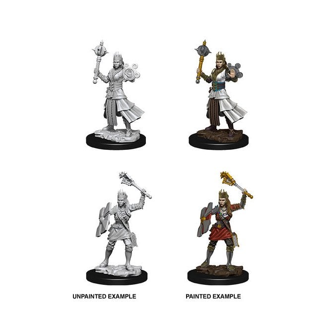 D&D Nolzur's Marvelous Miniatures Human Cleric (Female)