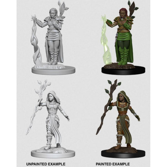 D&D Nolzur's Marvelous Miniatures Human Druidn (Female)