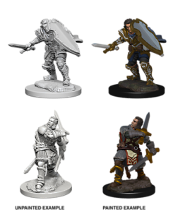 D&D Nolzur's Marvelous Miniatures Human Paladin (Male)