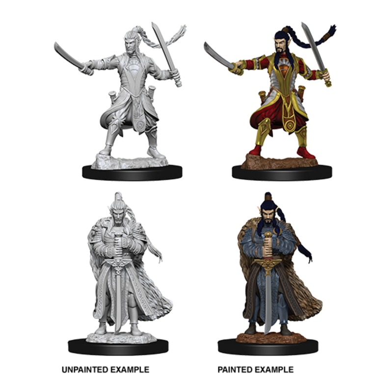 D&D Nolzur's Marvelous Miniatures Elf Paladin (Male)
