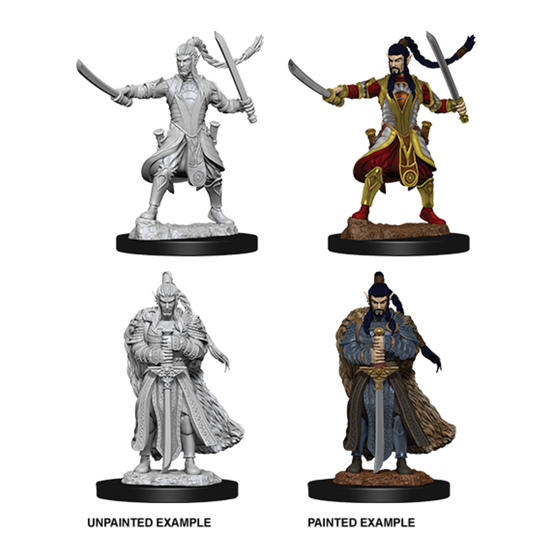 D&D Nolzur's Marvelous Miniatures Elf Paladin (Male)